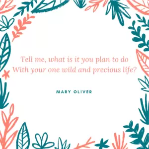 Mary Oliver quote