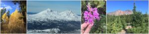 4 seasons in Bend